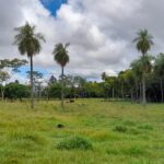 WhatsApp Image 2023-03-23 at 15.29.12