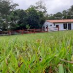 WhatsApp Image 2023-03-23 at 15.29.13