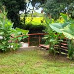 WhatsApp Image 2023-03-23 at 15.29.20