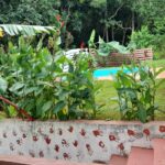 WhatsApp Image 2023-03-23 at 15.29.24