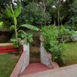 WhatsApp Image 2023-03-23 at 15.29.25