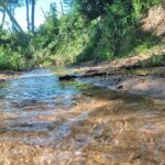 WhatsApp Image 2023-03-29 at 09.12.57 (1)